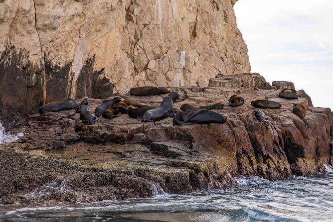 Dinner Cruise Tour in Cabo San Lucas with Tequila Tasting - Frequently Asked Questions