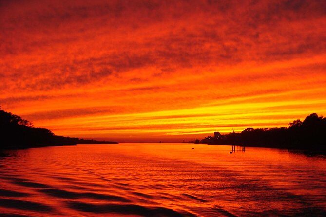 Dinner Cruise with Dolphin Watching from Cape May - Key Points