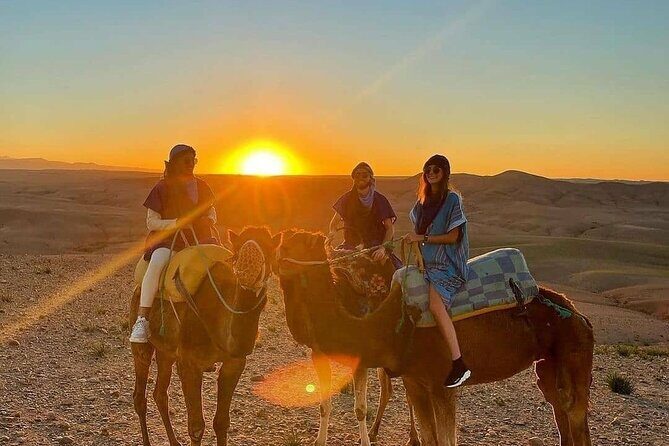 Dinner experience & Sunset with camel ride Tour - Transportation and Practical Details