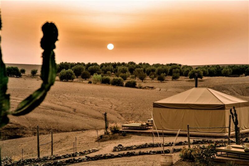 Dinner In Agafay Desert from Marrakech - Practical Details and Tips