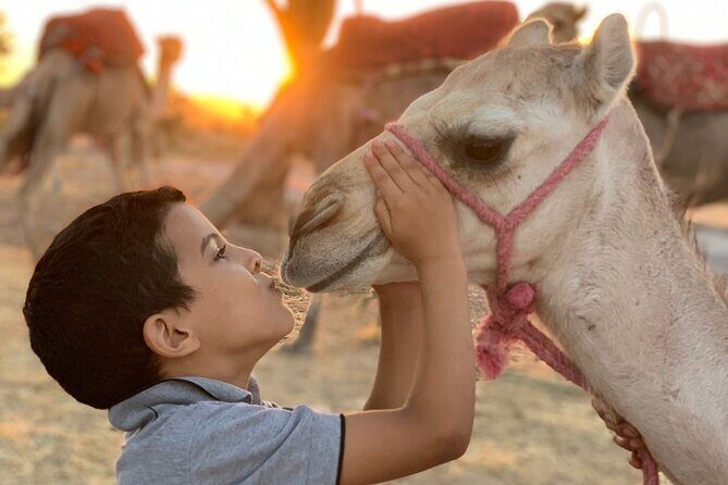 Dinner in Agafay Desert ,Sunset Camel Ride, Fire Show - The Sum Up: Why This Tour Is a Smart Choice