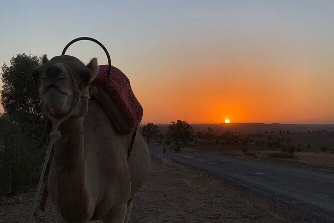Dinner in Agafay Desert ,Sunset Camel Ride, Fire Show - FAQ