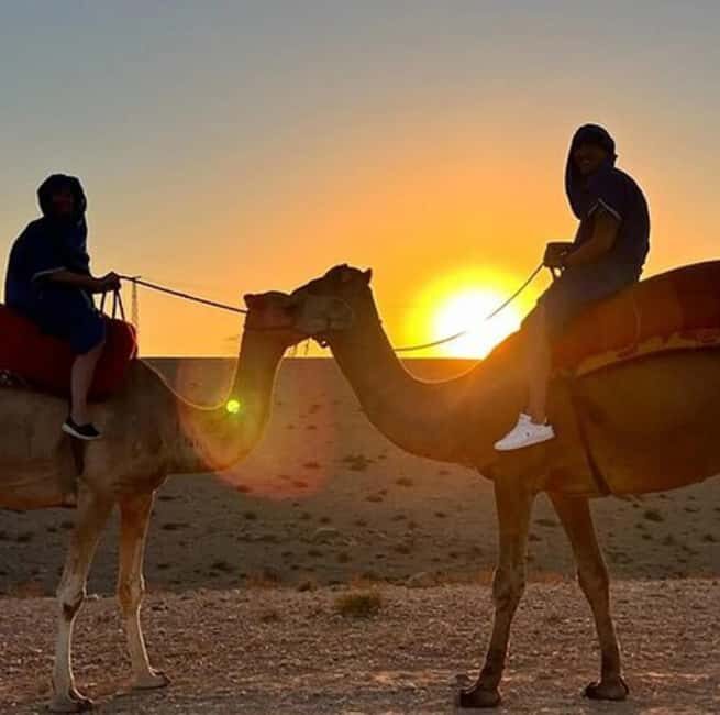 DINNER IN AGAFAY DESERT UNDER THE STARS WITH SHOW AND CAMELS - Key Points