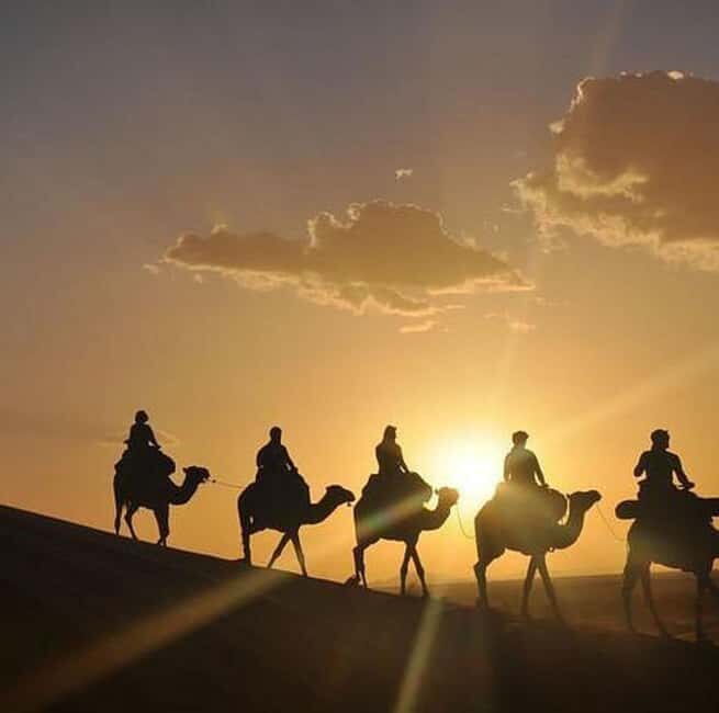 DINNER IN AGAFAY DESERT UNDER THE STARS WITH SHOW AND CAMELS - Who Is This Tour Best For?