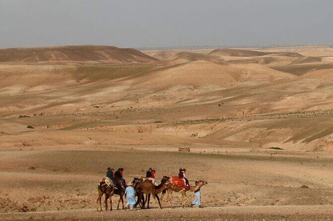 Dinner in Agafay Desert with Camel Ride or Quad Bike - Final Thoughts