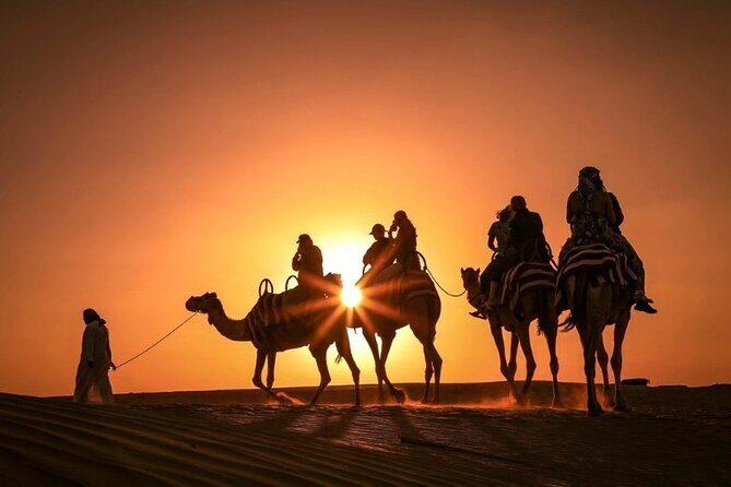 Dinner In Dubai Desert - A Deep Dive into the Desert Experience