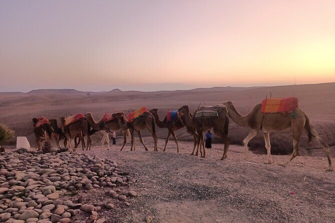 Dinner in the Agafay Desert - The Sum Up