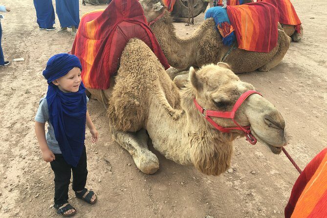 Dinner show and Sunset Camel riding Agafay desert - FAQ