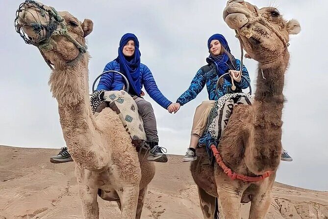 Dinner Show & camel ride with sunset views - An Authentic Morocco Experience in Marrakech’s Agafay Desert