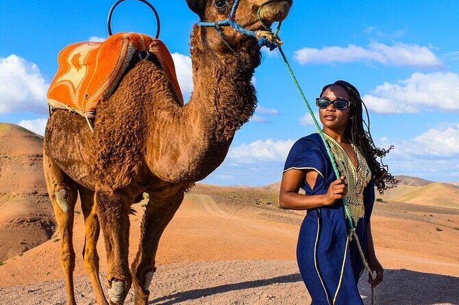 Dinner Show & camel ride with sunset views - Who Will Love This Tour?