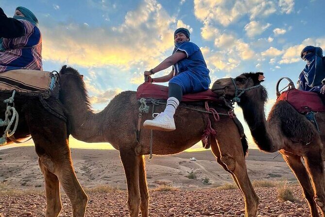 Dinner Show & camel ride with sunset views - Final Thoughts
