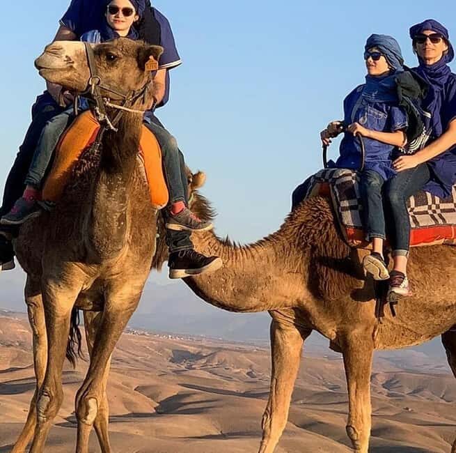 Dinner show in agafay Desert 1h quad bike & 20 min camels - The Sum Up