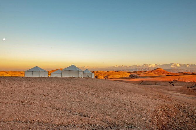Dinner Show in Agafay Desert with Quad Bike & Camels - Price, Duration, and Overall Value