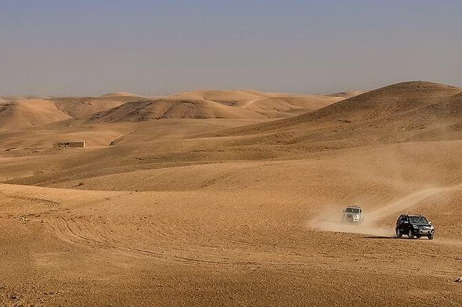 Dinner Show in Agafay Desert with Quad Bike & Camels - Why This Tour Is a Great Pick