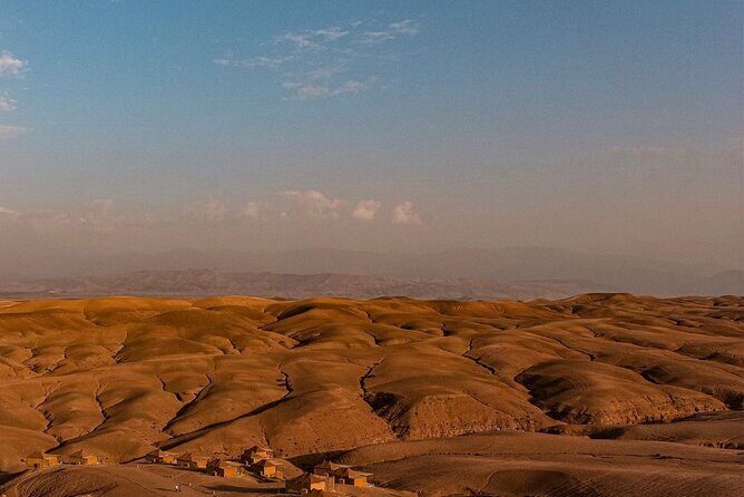 Dinner Under the Stars Desert Agafay & Sunset Camel Ride - The Sum Up