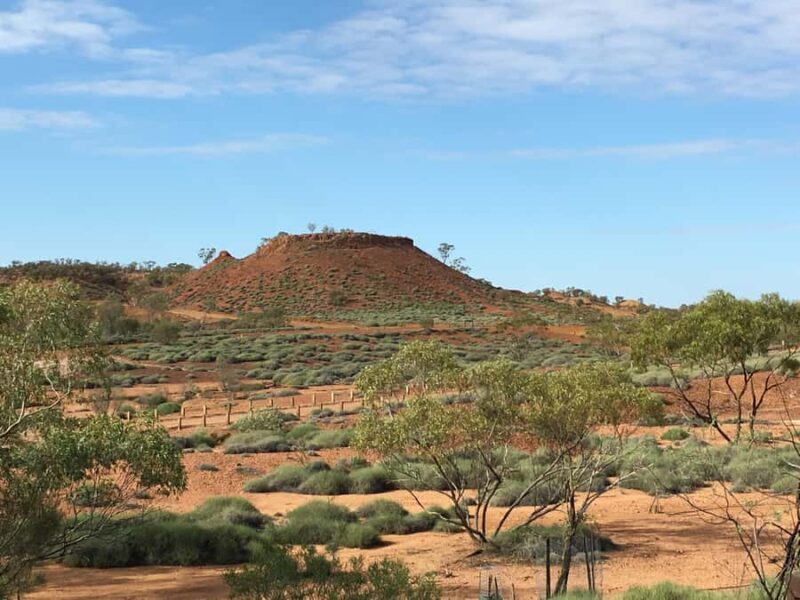 Dinosaur Stampede Half Day Tour - Dino Dash - The Highlight: Guided Tour at Lark Quarry
