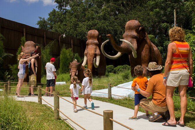 Dinosaur World Theme Park - Authentic Experiences and Visitor Feedback