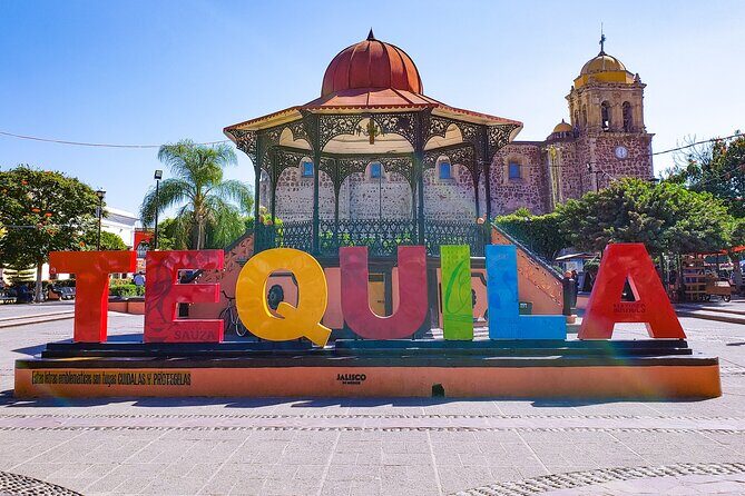 Direct Airport Transfer to Tequila Jalisco - The Experience: What to Expect