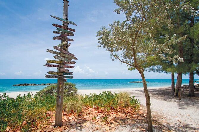 Direct Shuttle from Orlando to Key West (Up to 15 people group) - The Sum Up