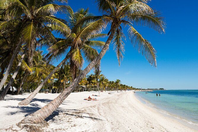 Direct Shuttle from Orlando to Key West (Up to 15 people group) - FAQ