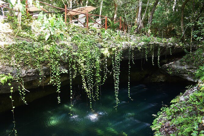 Discover 3 amazing cenotes. Includes transport & snack - The Experience for Different Travelers