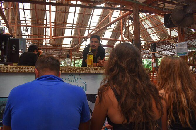 Discover 3 amazing cenotes. Includes transport & snack - The Value Proposition