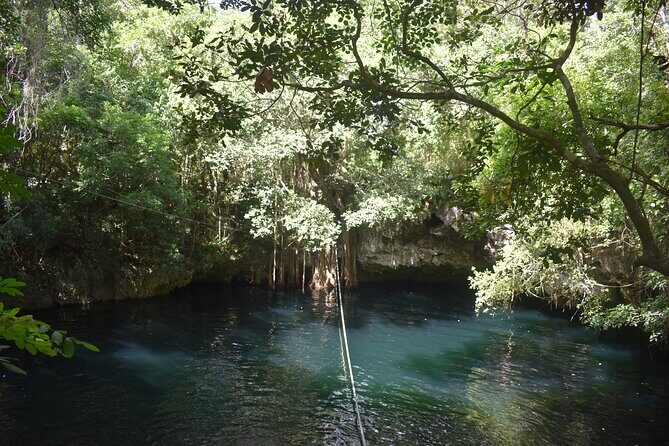 Discover 3 amazing cenotes. Includes transport & snack - Who Will Love This Tour?