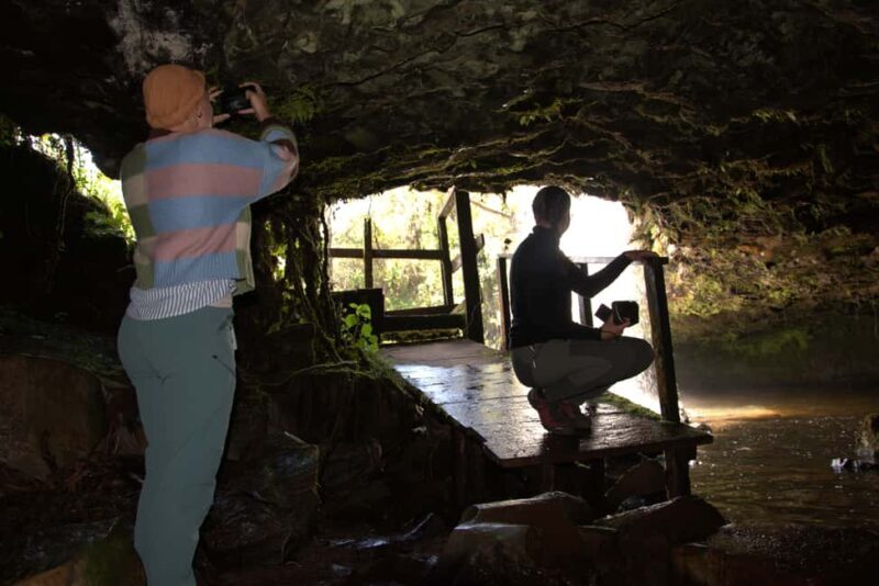 Discover Aberdare National Park and Lake Naivasha (2 days) - Starting at Aberdare National Park: The Waterfalls and Wildlife