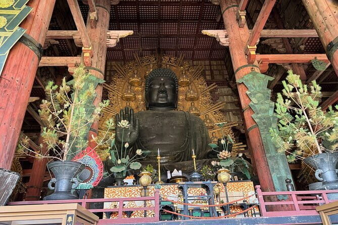 Discover Ancient Nara: Private Car Tour from Kyoto or Osaka - FAQs