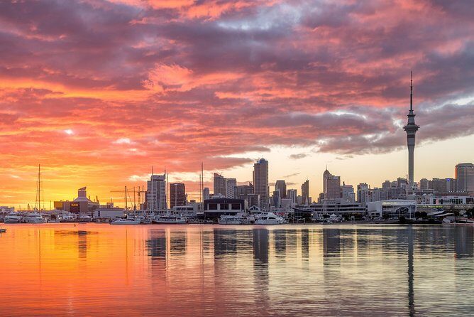 Discover Auckland City Tour: The City of Sails - The Sum Up