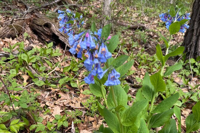 Discover Aurora Illinois Hiking Getaway - Final Thoughts
