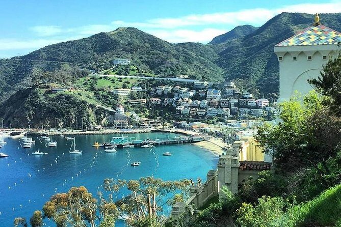 Discover Avalon: Catalina Scenic Tour - Key Points