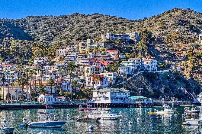 Discover Avalon: Catalina Scenic Tour - An Honest Look at the Catalina Scenic Tour