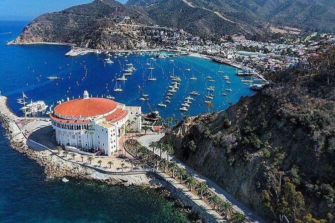 Discover Avalon: Catalina Scenic Tour - Who Should Consider This Tour?