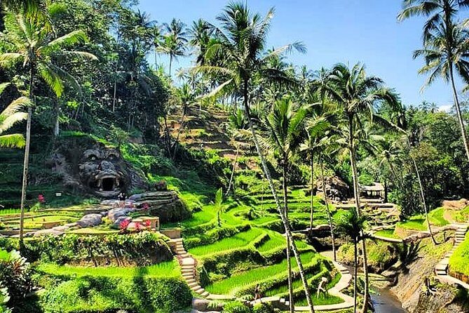 Discover Bali Your Way With Aman Bali Driver - The Value Proposition