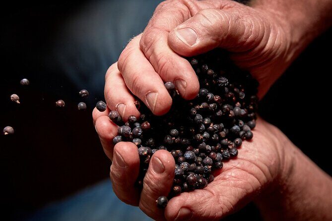 Discover Bellarine Wine, Cider and Craft Beer with Private Bus - An Authentic Taste of Victoria’s Bellarine Peninsula