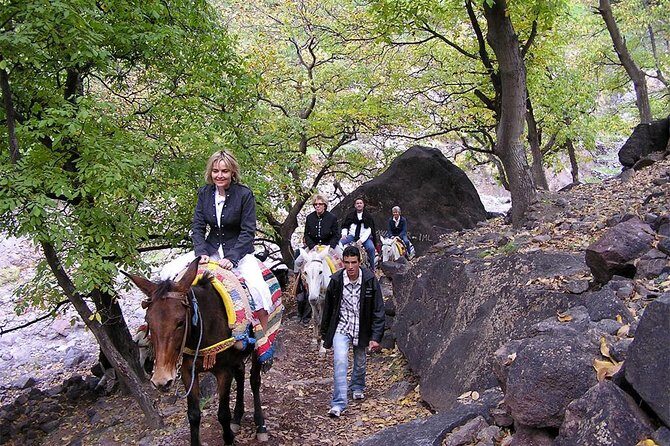 Discover Berber Villages & Atlas Mountains -- Private Trip-- - Who Should Consider This Tour?