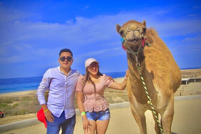 Discover Cabo San Lucas by camel ride - Authentic Experiences and Real Traveler Insights