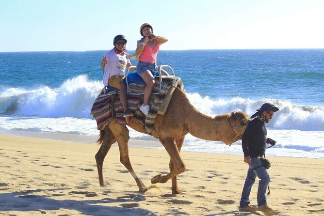Discover Cabo San Lucas by camel ride - Frequently Asked Questions
