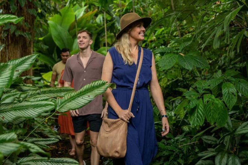 Discover Cairns: Cairns River Cruise & City Sights Tour - Key Points