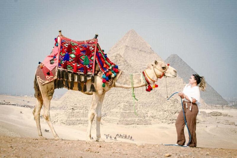 Discover Cairo: Private Day Trip to Museum, Pyramids & Lunch - Key Points