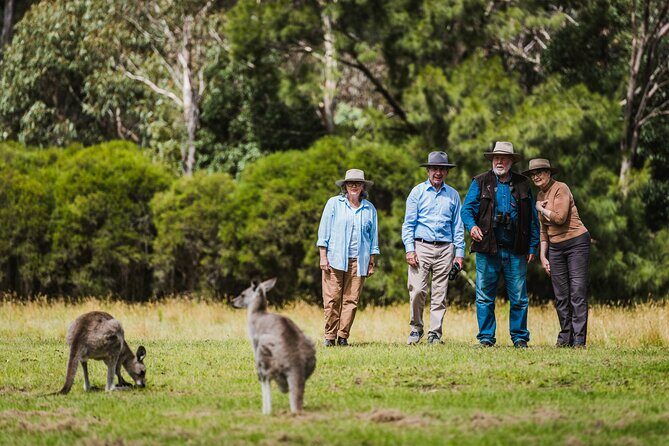 Discover Canberras Heritage: A Full-Day Private Tour - FAQ