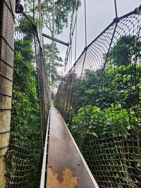 Discover Cape Coast and Elmina Castle with Kakum - An Authentic Journey Through Ghana’s Coastal Heritage