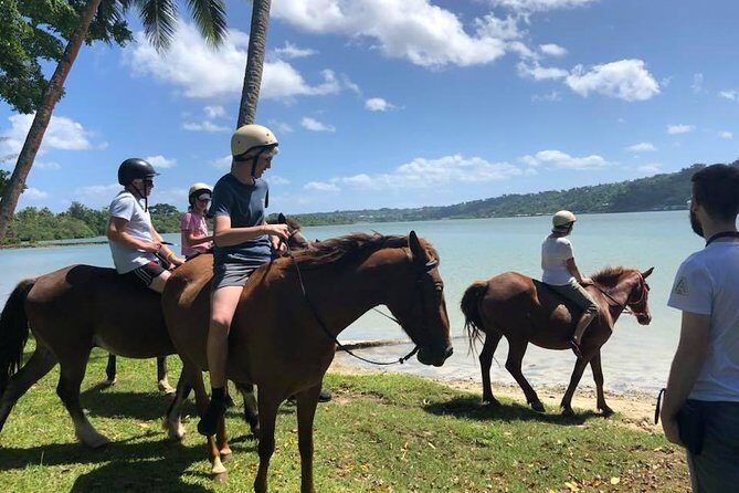 Discover Cascades & Turtle Experience with Yumi Tours - Pricing and Value Analysis