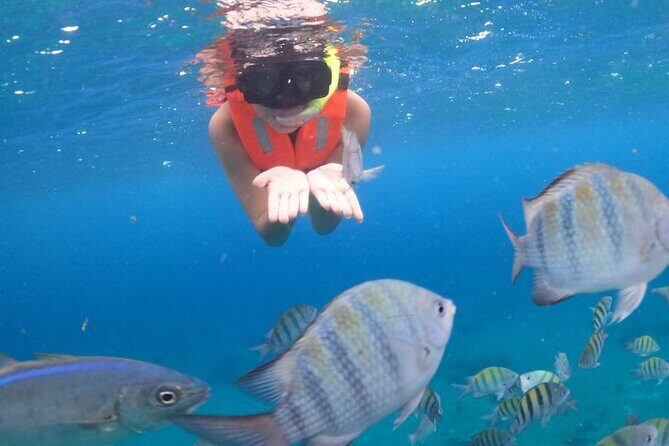 Discover Cozumel in a Transparent Boat! - Who This Tour Is Best For
