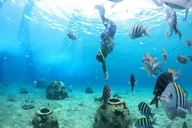 Discover Cozumel in a Transparent Boat! - Final Thoughts