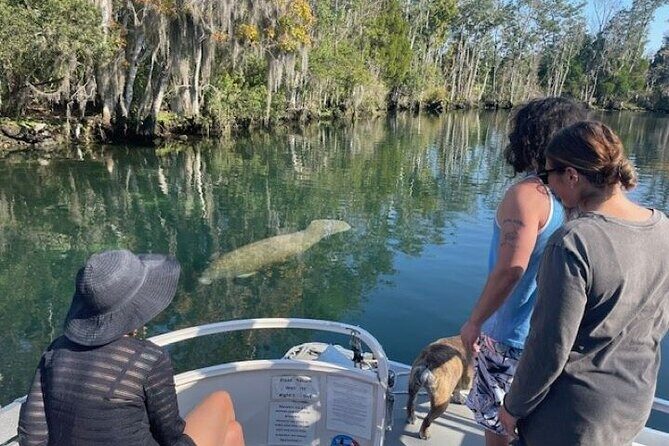 Discover Crystal River's Secrets with Private Boat Tour - An Honest Look at the Private Boat Tour in Crystal River
