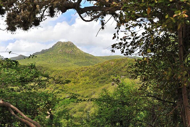 Discover Curaçao Self Guided Island Tour - FAQ
