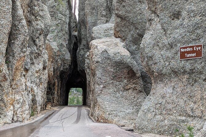 Discover Custer State Park A Self Guided Audio Driving Tour - Final Thoughts: Is the Custer State Park Self-Guided Tour Worth It?
