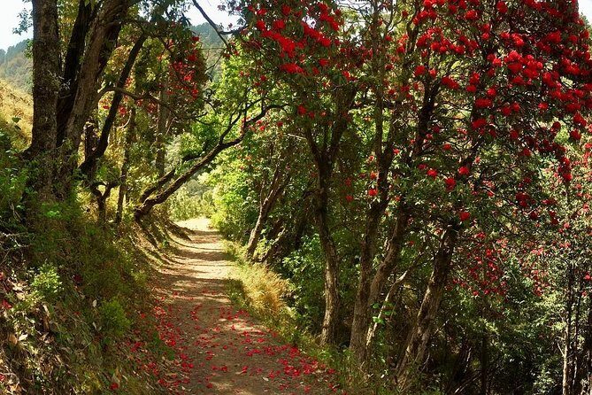 Discover Dehradun: Private City Tour - An In-Depth Look at the Tour Experience